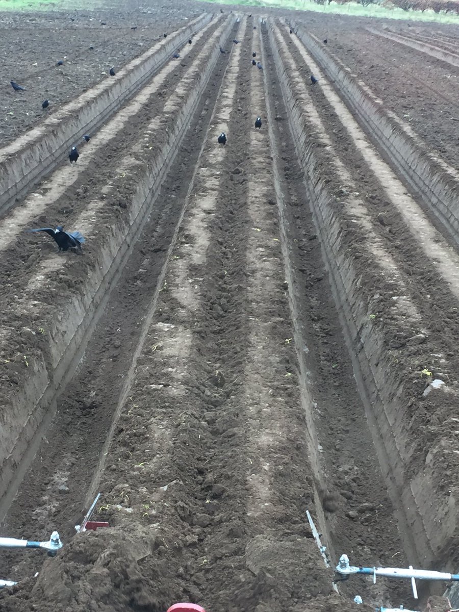 bravo10_4's tweet image. Chunky KitKat🚜                            #JohnDeere.                                  #Scanstone