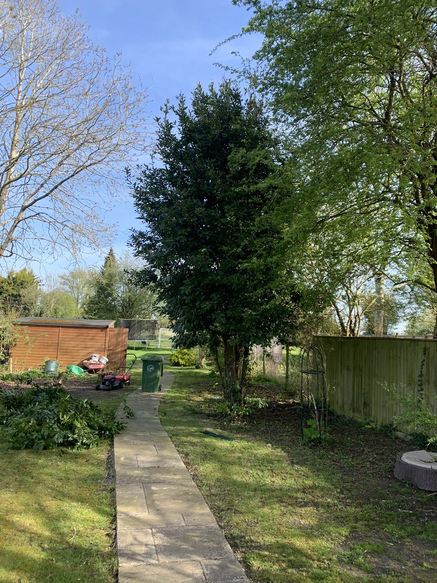 type1bri's tweet photo. Operation get the garden cleared today
Let’s see how diabetes likes this, always thankful for #Dexcom #CGM at times like these when a hypo can creep up on you 
So far so good tho #ad #Gbdoc #Doc #pwd #type1diabetes #warriorup #DexcomUk https://t.co/ggbgir3FXO