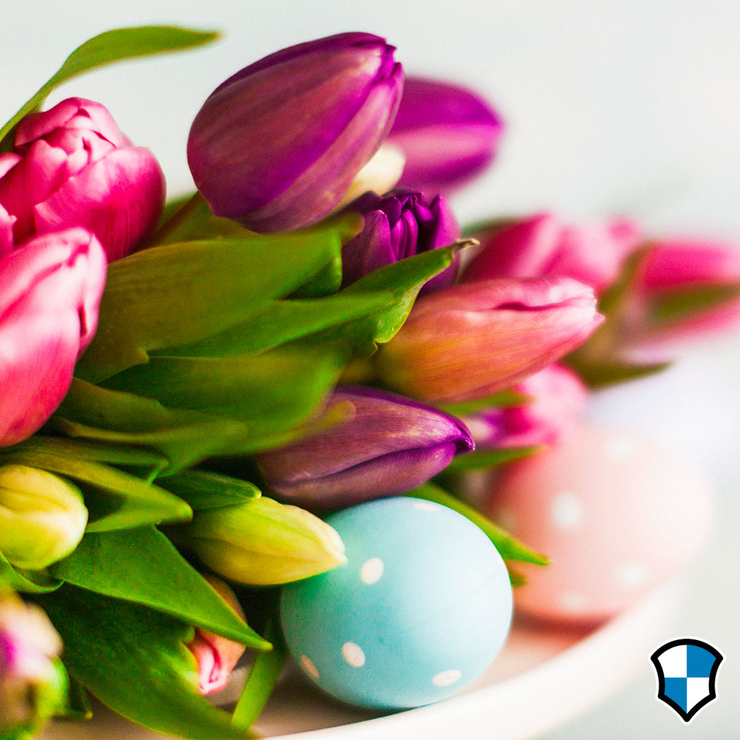 Fijne Paasdagen! 🐣  🌷