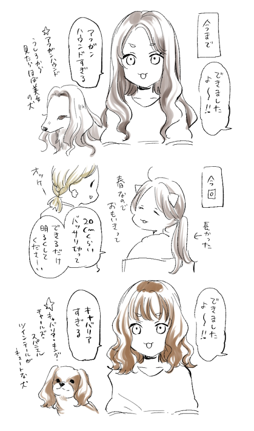 【日記】美容室行って犬種変えてきた 