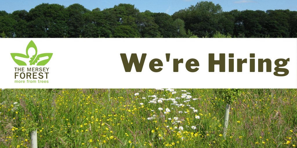 merseyforest's tweet photo. Find the details of two new job opportunities on our site:
Woodland Establishment Advisor
Assistant Woodland Advisor
⤵️
https://t.co/iENTjXVozG
#Jobs #MoreFromTrees @CommForestTrust https://t.co/hI8CE6GN8G