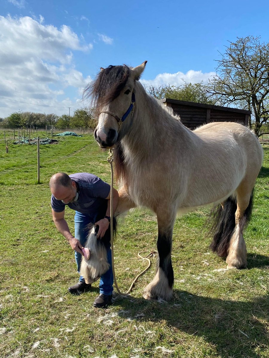 Reader1Paul's tweet photo. Wishing all a Very Happy Easter https://t.co/ghoOQ99eVC