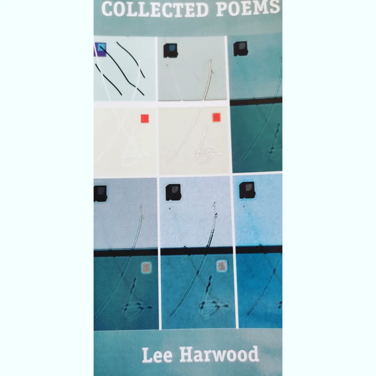 johnnygoodeb's tweet photo. There are several Lees whose poetry I love and admire to choose from (Laurie, Duggan, Li Bai, Li Shangyin), but *this* is the Lee I'll be reading today.
#onaleeshore #readilee
#longblackveil
#cablestreet #contentedlee
#perfectlee #softlyswimmingdownalongthelee https://t.co/h0oGdDH8M0