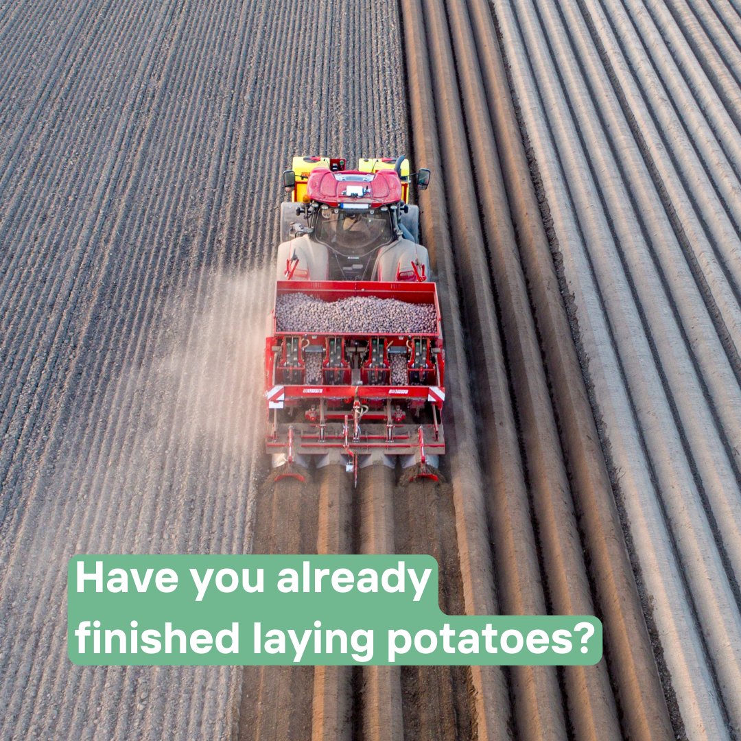 🌱🥔 Wie läuft das Kartoffeln-Pflanzen bei euch?

🌱🥔 How is the potato planting going for you?