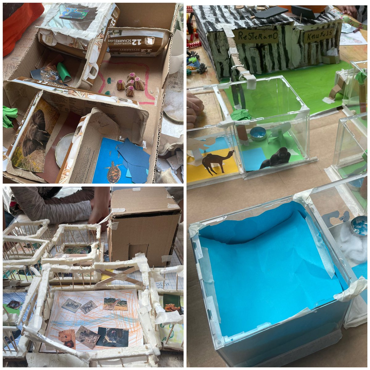 Elzeneindschool's tweet photo. Thema dieren #allesin1 plaats 10 verschillende dieren in 7 hokken en bouw je eigen dierentuin #creatiefdenken #ontwerpendleren @SAAMscholen https://t.co/h0uDLd7MHu