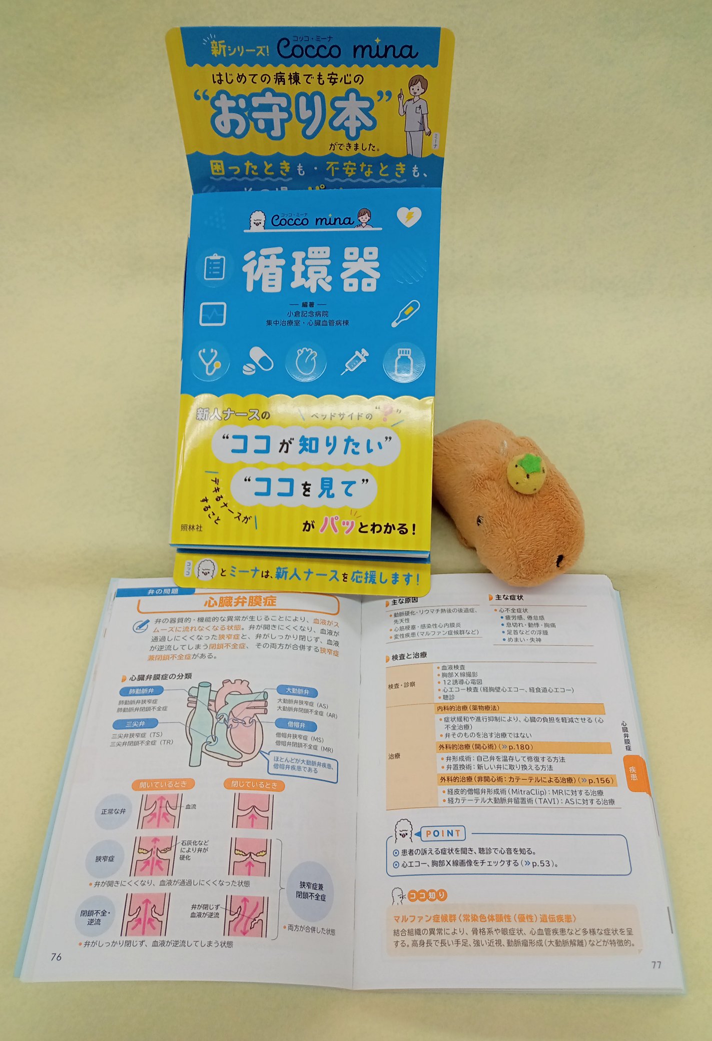 照林社書籍編集部 本日発売 ポケットサイズの領域別新シリーズ Cocco Mina 循環器 試し読みページができました よかったら 見てみてくださいね T Co Jkccv0i4yw 最後の章の 関係なさそうで大ありなこと という項目 目からウロコでした