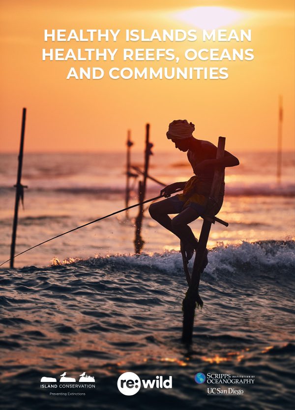 max_bello_m's tweet image. Very happy to see the birth of this holistic and impactful challenge, no blue, no green …. no us @rewild @NoExtinctions @Scripps_Ocean @MiAmbientePma @CancilleriaPma @PalauOceans #iochallenge @LeoDiCaprio