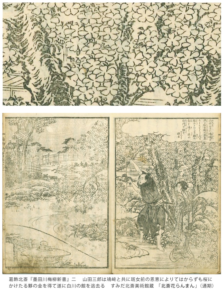 北斎花らんまん 展では物語を彩る桜 の描かれた作品も出展しています そのなかから 梅若伝説 をもとにした親子三代に渡る登場人物が複雑に絡み合い 敵討ちを成し遂げるという物語の一場面をご紹介 びっしり満開の花々は輪郭で表現されていますが 幹は木肌も描かれ