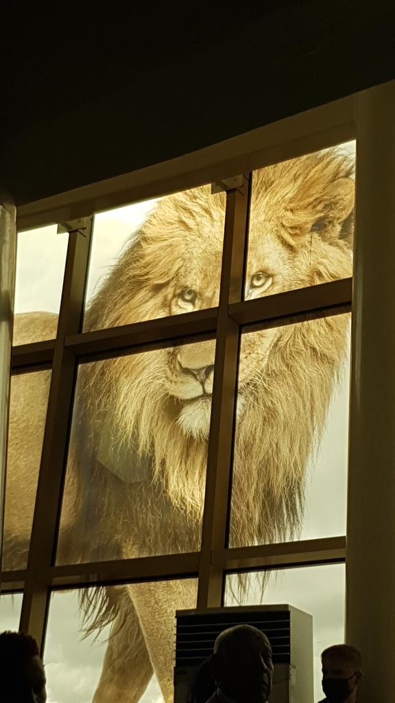 Simply Adonia tweet media