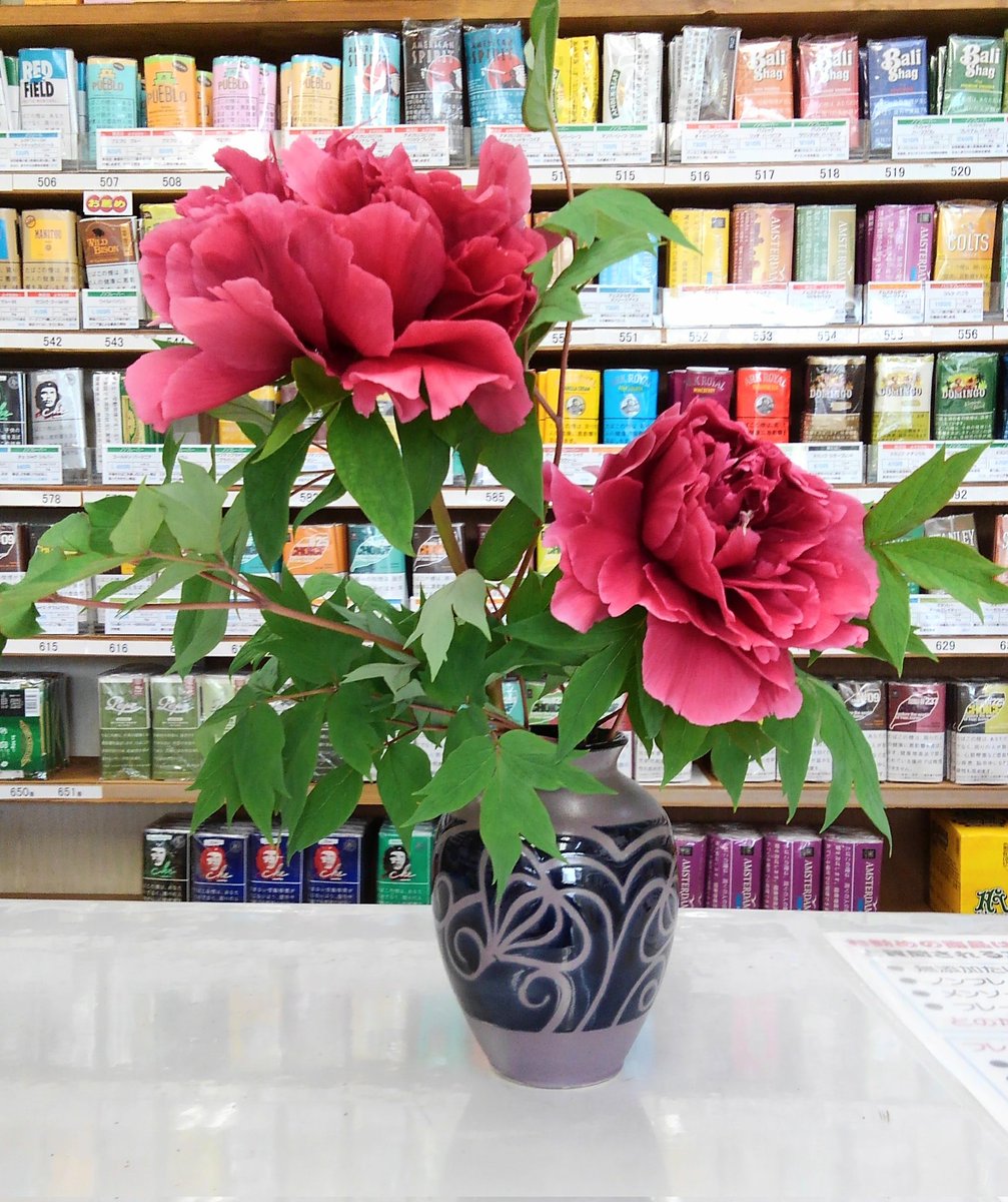 牡丹

庭に咲いていた牡丹を切ってきて店内に飾っております。