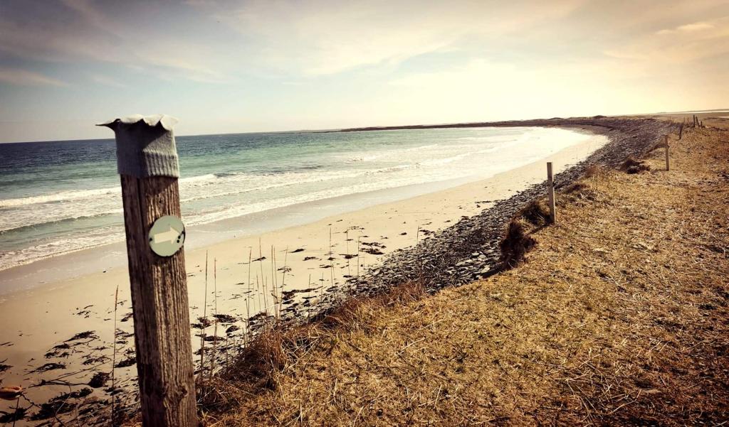PSOSOrkney's tweet photo. Some brilliant photos from our trip to #Sanday yesterday. Great to see so many of you at our surgery - especially the bairns. https://t.co/SVhW0AFkGQ
