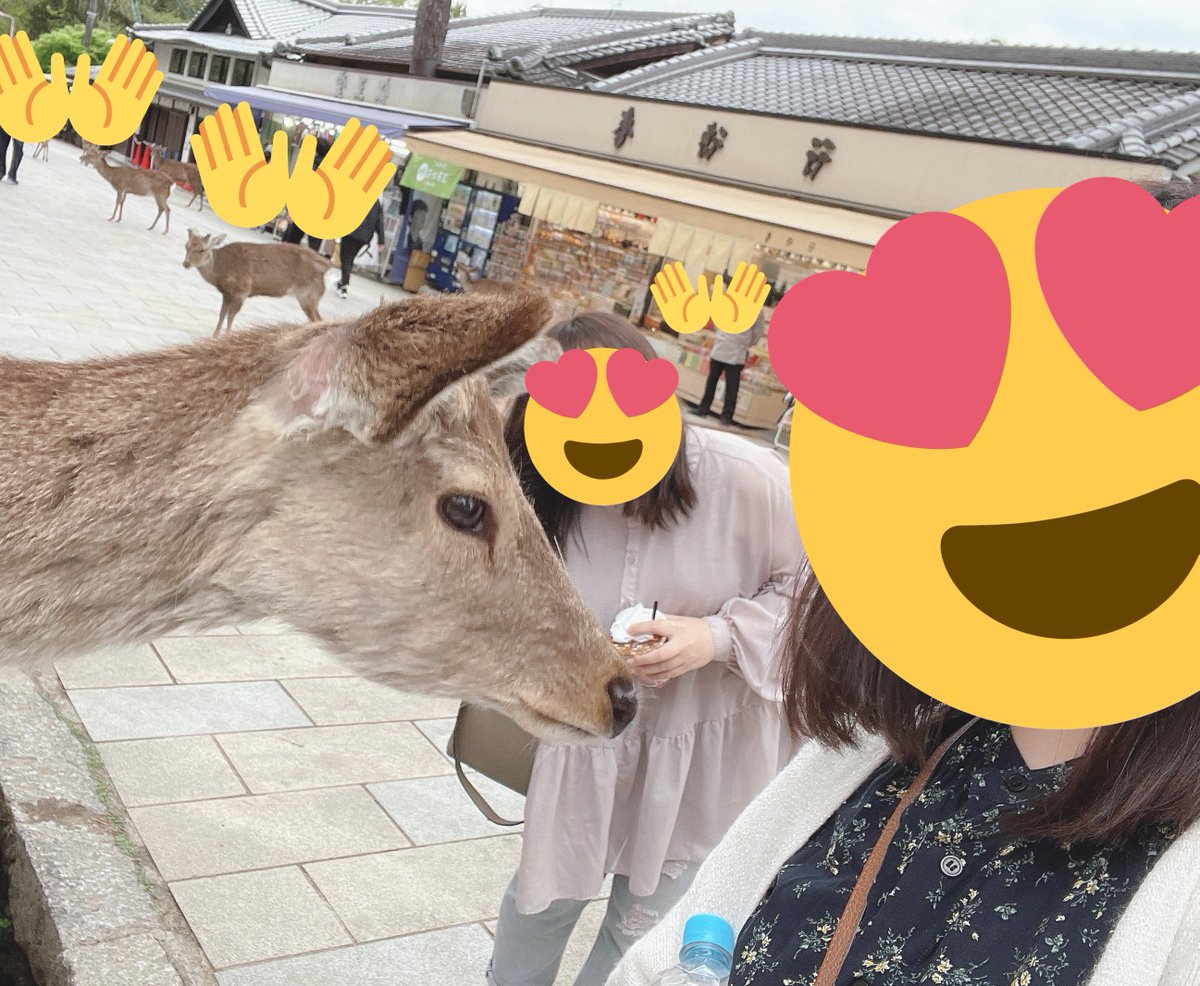 うさ Usa 1 Xxx Twitter