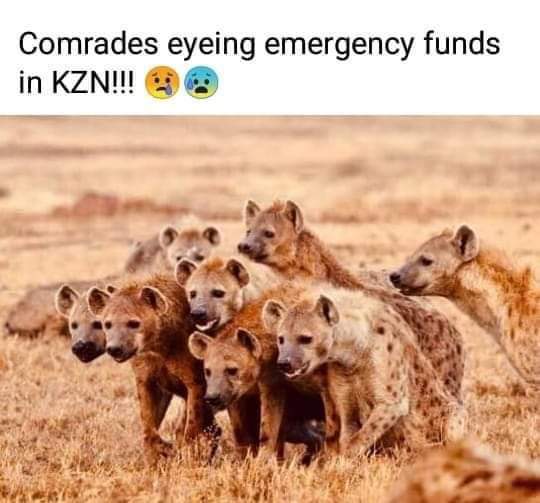 ZandiTwala's tweet photo. You invite a clown into a palace, it doesn't become a king. The palace becomes a circus.
#KZNWeather #KZNFlooding #KZNFlood https://t.co/tgwN3Z1fuq