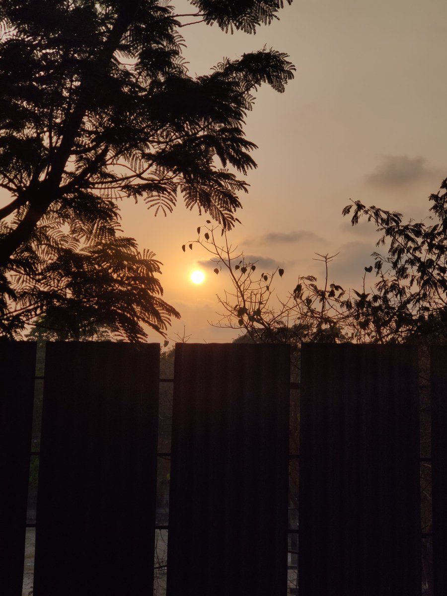 jsn_khera's tweet photo. Born to chase sunsets ❤️
#sunsetlover #sunsetphotography #jasskhera09 #bliss #NaturePhotography #PhotoOfTheDay #beautiful https://t.co/GHXuIhw3Td
