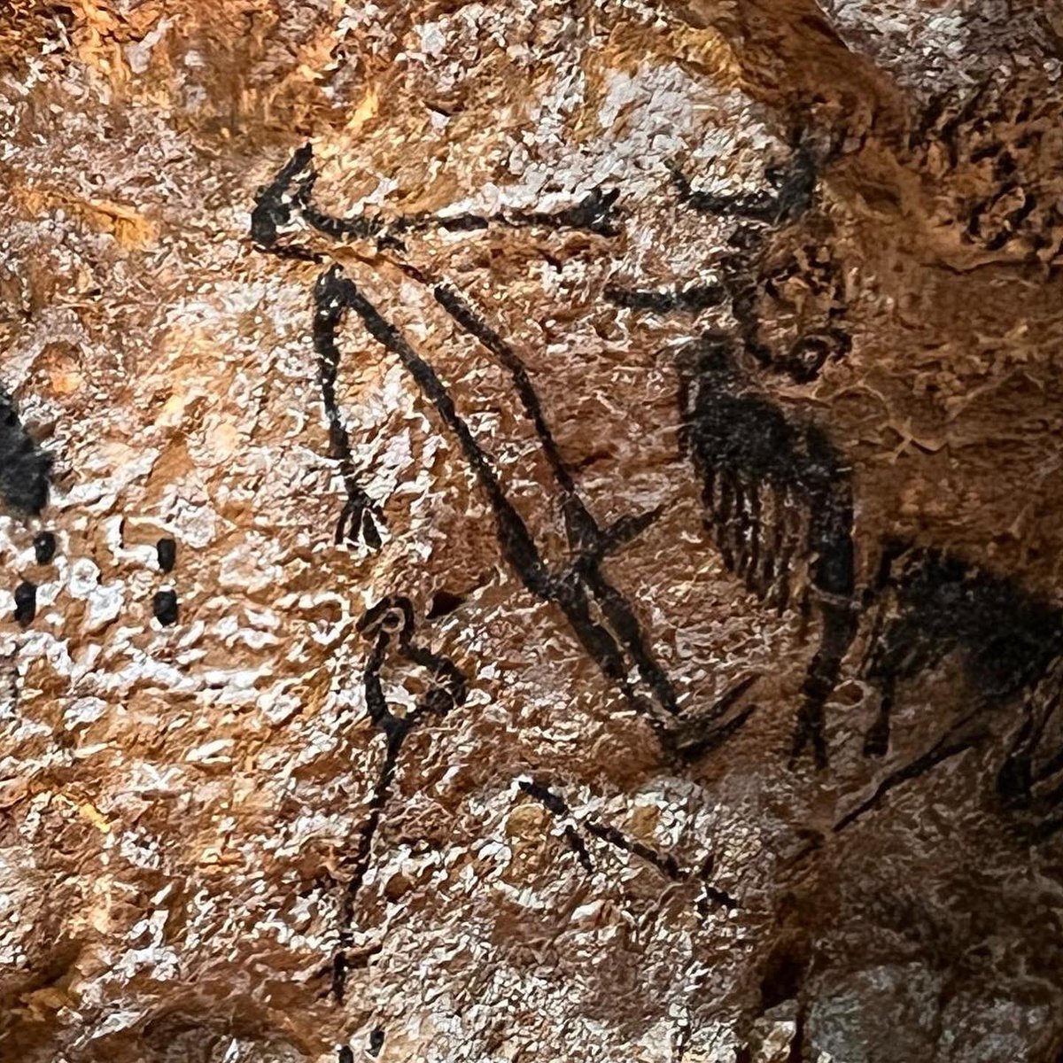 CaravanerosBlog's tweet image. Cueva de Lascaux IV. Una visita muy interesante para intentar comprender a esas personas que vivieron aquí hace 21000 años. Aparcamiento P2 para autocaravanas y visita guiada en castellano.