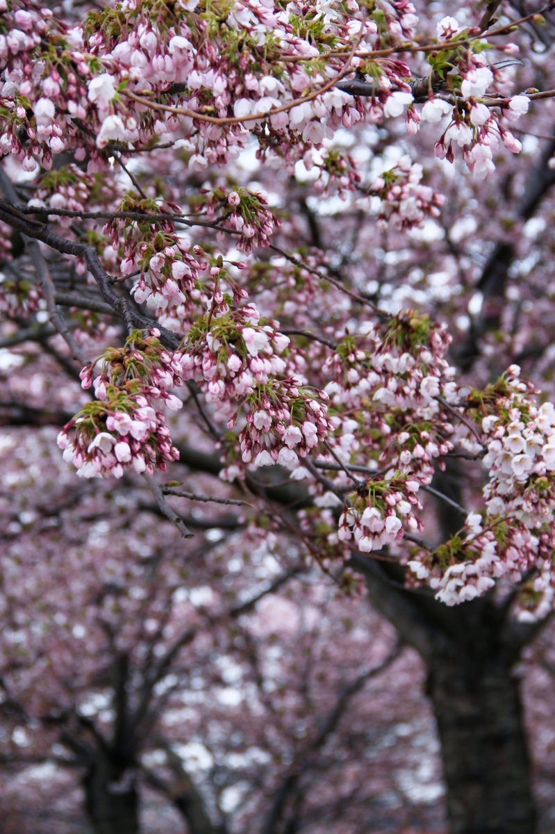 Pietro Rampazzo tweet media