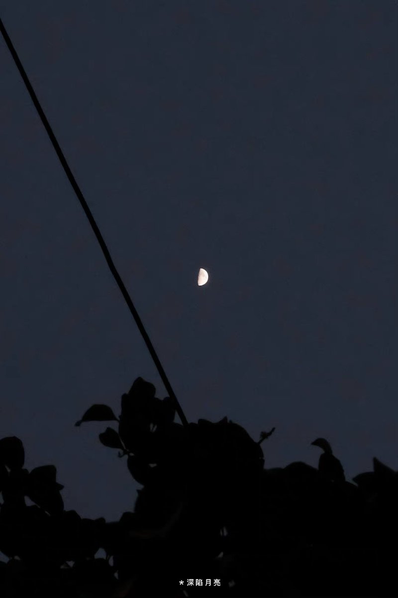 swhnetwork's tweet image. 你也爱一起赏月吗