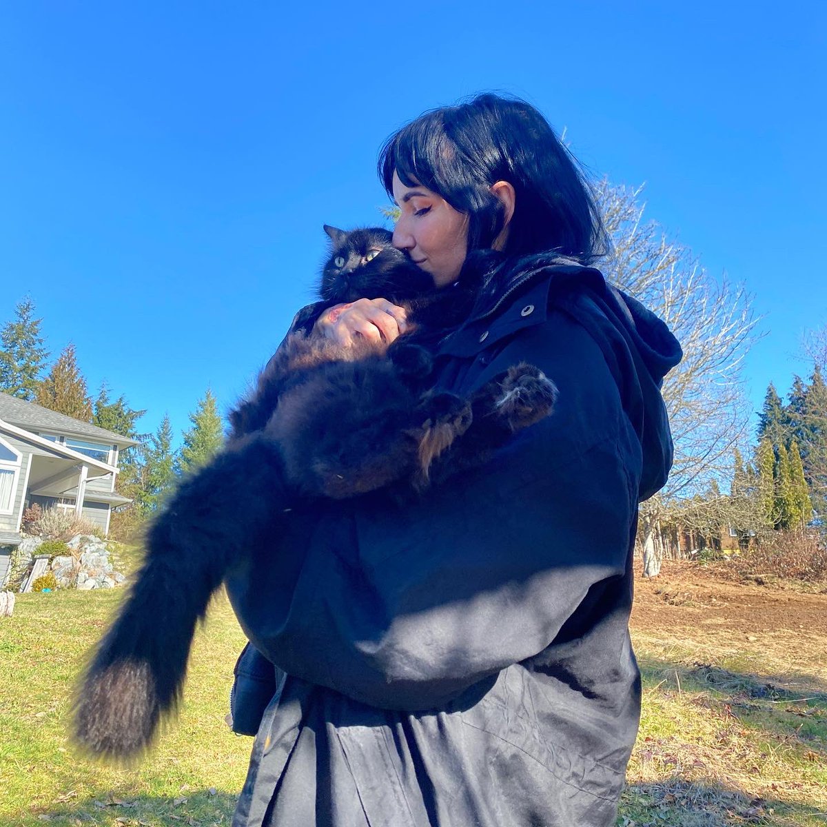 lights's tweet photo. A legend is gone. They say a cat comes into your life to take your pain and illness from you. I’m not a religious person anymore but I could get behind that shit. you deserved every ounce of love you got over 18 years, Daily Stanley signing off 💙 https://t.co/CkQFd8S9X5