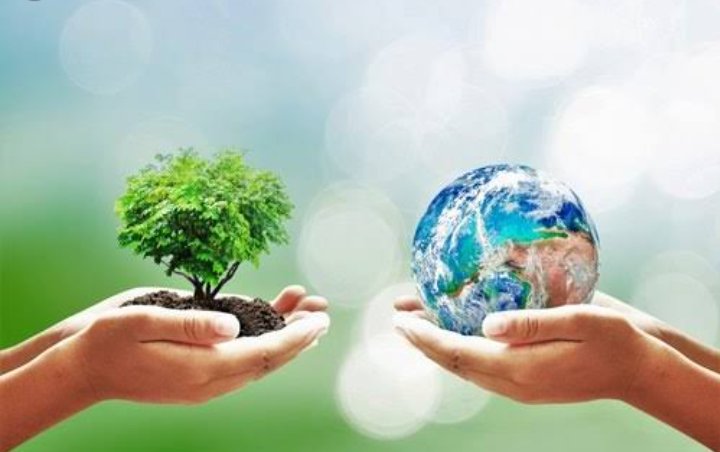 This is the generation we should not just be passionate and concerned about our environment but also act towards sustainability.
#Environmentgo #sdgs #ClimateActionNow #deforestation