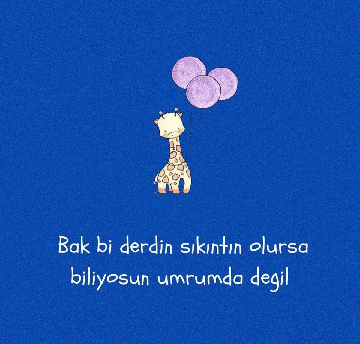hocaoglu_gamze's tweet photo. 😎😎 https://t.co/ZGVY3CJeYL