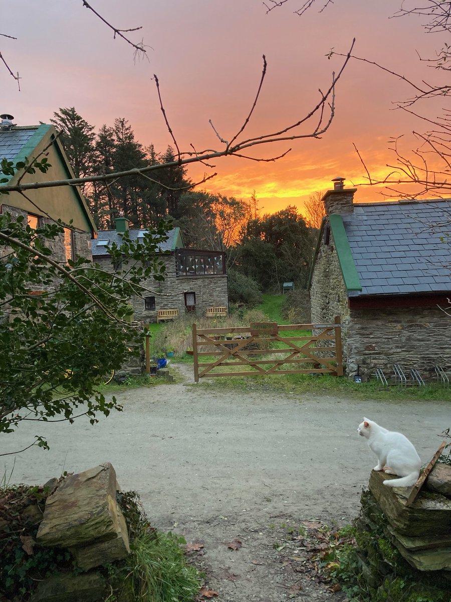 CamusFarm's tweet photo. Safe Journey to everyone travelling to dine at our Easter Feasts with @caitlinruthfood this weekend. Some wonderful aromas slow cooking in @CamusfarmFK.
#destinationdining #destinationdiningexperience 
#clonakilty #yaycork #corkbeo #purecork #lovecork #loveclonakilty https://t.co/hRaSjk0Nrm