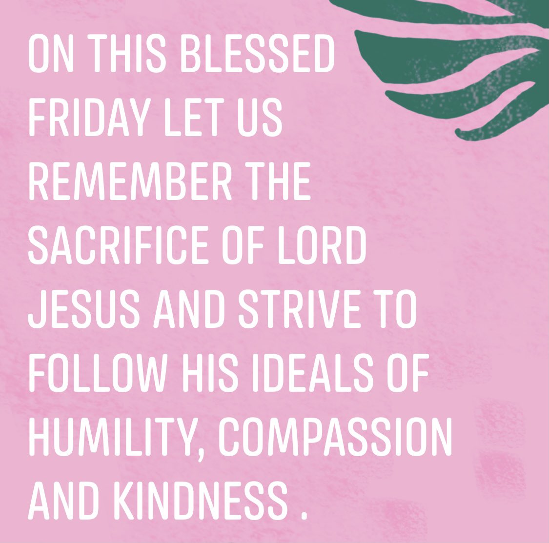 MasseyAkash's tweet photo. #blessedfriday https://t.co/e3kOlW9tqy