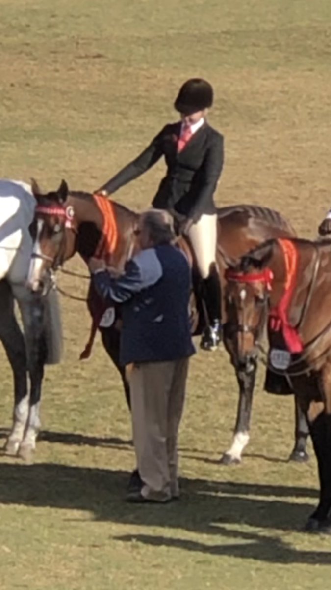 thefifi's tweet photo. From a very strong field of 47 Thoroughbred geldings in The Pope Cup at Sydney Royal Show Able Fun made the finals 🙌🙌 In his first season as a show horse I could not be any happier with him ❤️
#ablefun #offthetrack #lifeafterracing #chriswallerracing https://t.co/XDIWtNvIa8