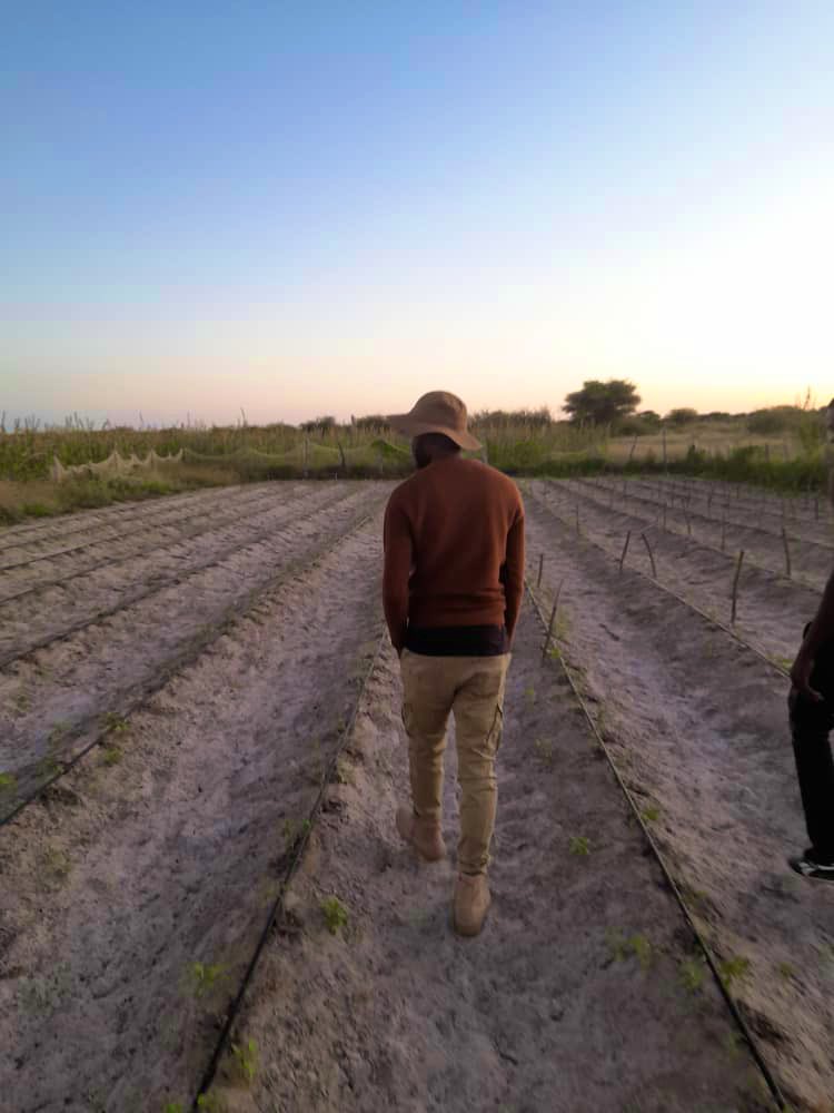JUusiku1's tweet image. Start small. Farming is the future 🤟🏾