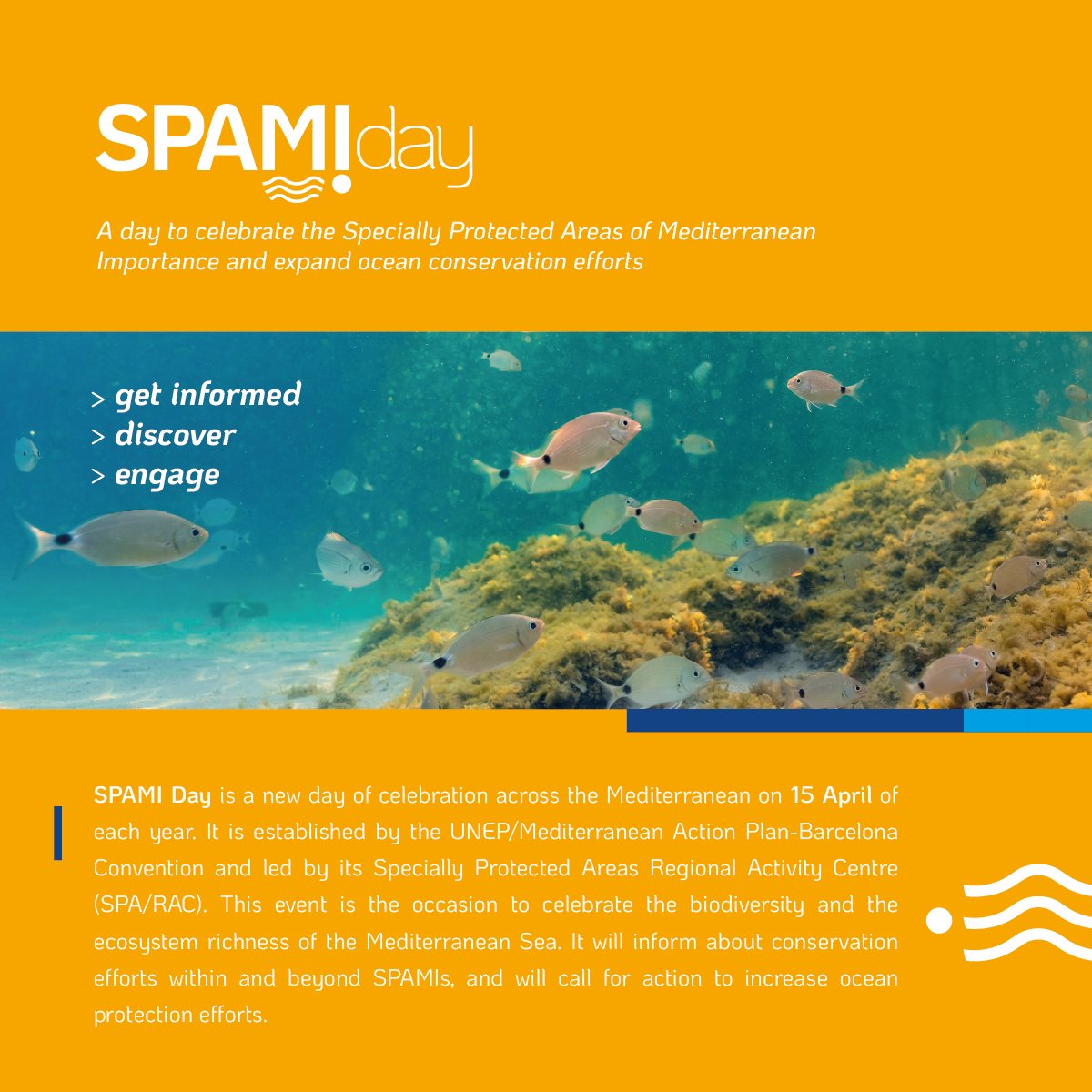 On 15 April we celebrate the Specially Protected Areas of Mediterranean Importance (SPAMIs) #BarcelonaConvention. Join this 1st edition of #ProtectMedDay #SPAMIday2022 & let’s step up efforts for the conservation of marine and coastal biodiversity: spami.medchm.net/en