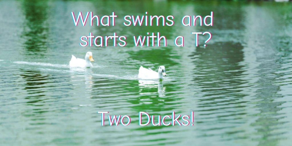 Finding Home Based Jobs and Opportunities For A Better Future 21 HBB4UALL photo