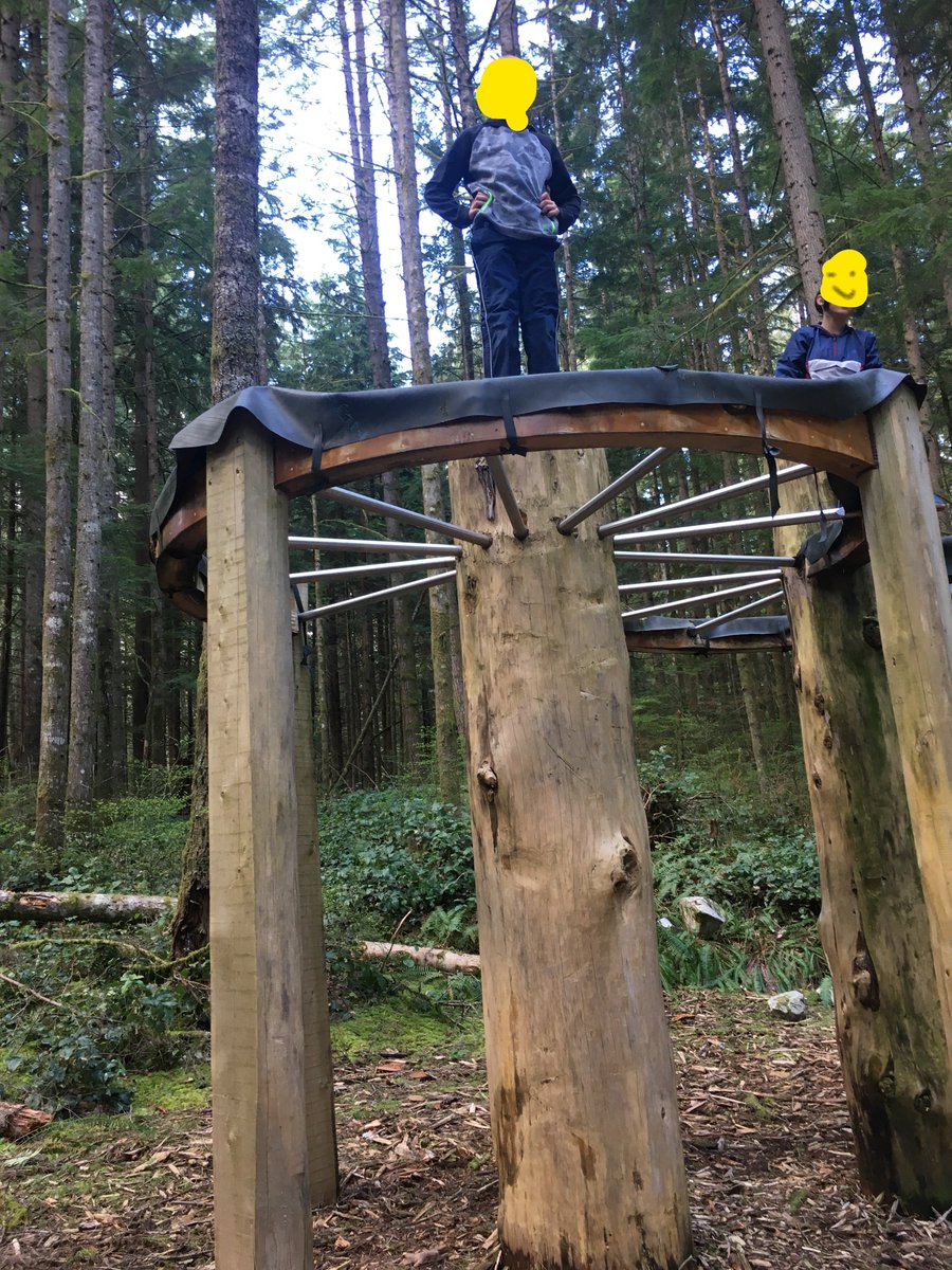 tamara_anne14's tweet photo. To start of the week, the Grade 5s explored the Malcolm Knapp Research Forest and practiced their survival skills by building shelters, campfires and crossing Loon Lake by rope ferry. They climbed to great heights in many ways! Very proud of my students! #UBCBEd2022 #UBCIBEd https://t.co/rzEsEmlThP
