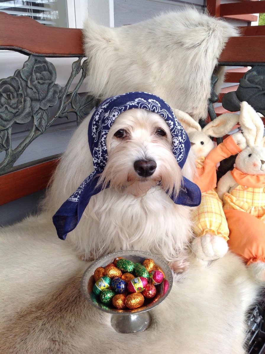 Irene Salo tweet media