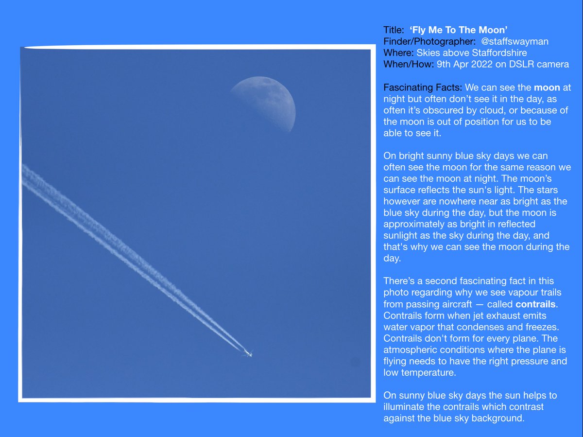 HNEscapes's tweet photo. ‘Fly Me To The Moon’
One of the latest #FascinatingFinds contributions to our forthcoming #wellbeing e-book, this time from new co-creator collaborator @staffswayman.
#PhenomenaFinds https://t.co/VEj3JqOPTk