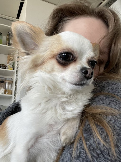 Say hi to my new friend at @PutalocuraWeb 😍😍😍 https://t.co/iCAzB2RvZD<a class="tags" href="/tag/putalocuraweb">@putalocuraweb</a><a href="/tag/newprofilepic"class="tags"><span>#newprofilepic</span></a>