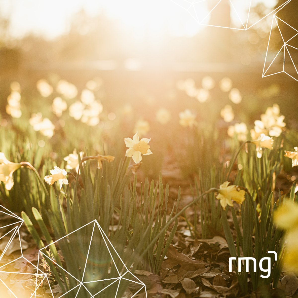 It’s not just Friday, it’s Good Friday!🙌

Enjoy your long weekend. 

So everyone from <a href="/RMGDigitalUK/">rmg digital</a> would like to wish everyone a blessed good Friday!🙏

#GoodFriday #Easterweekend #Blessed