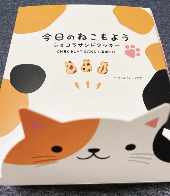 🐈🍪 