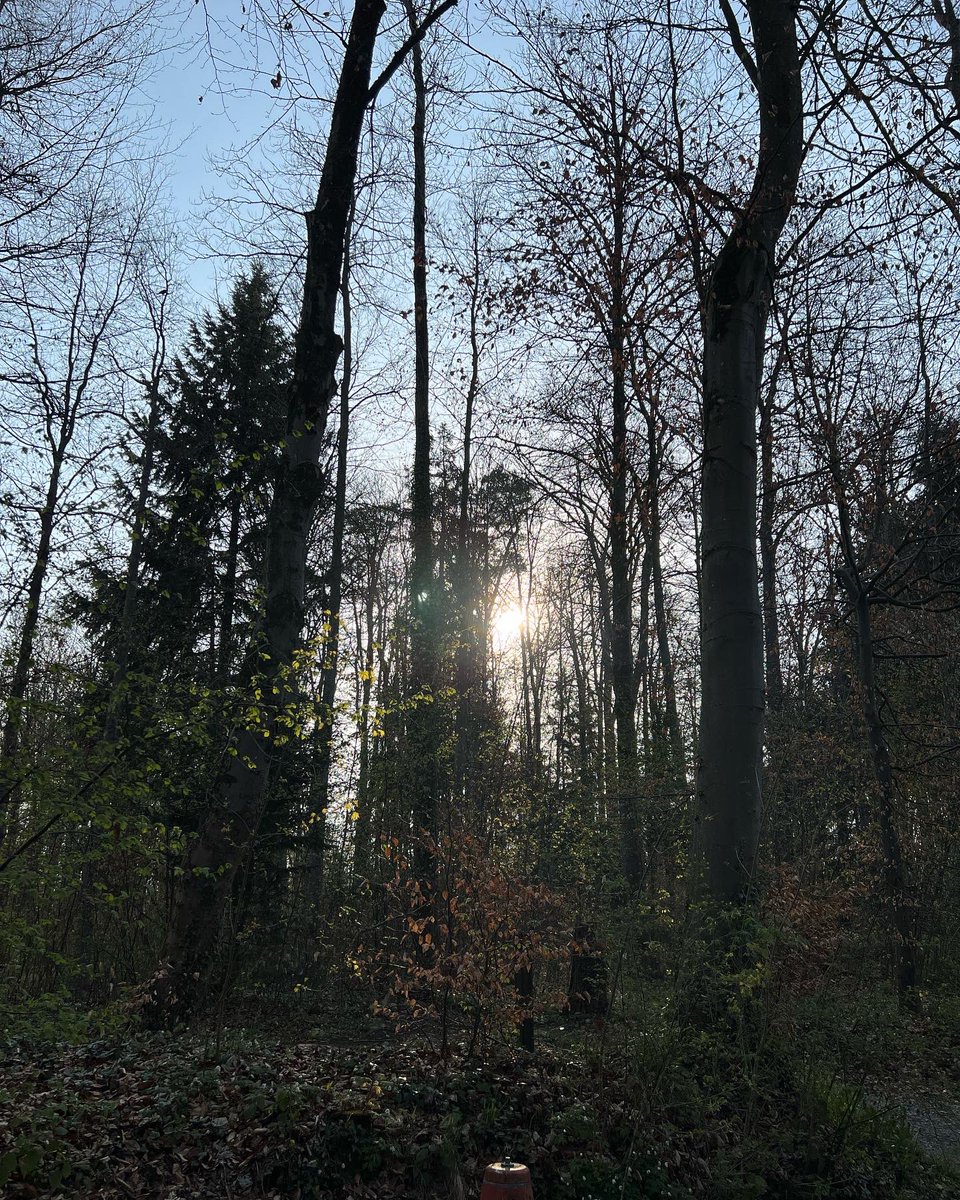 shloobee's tweet photo. Good morning walk. New habits begin here #Recovery #Onwards #Perolles #Fribourg #LacDePerolles #Health #MentalHealth https://t.co/mRQKTjQrnl
