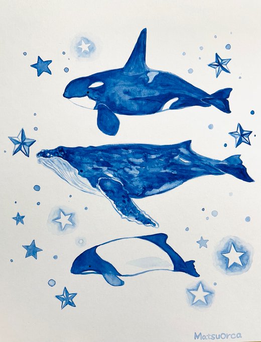 好きクジラたち🐋 