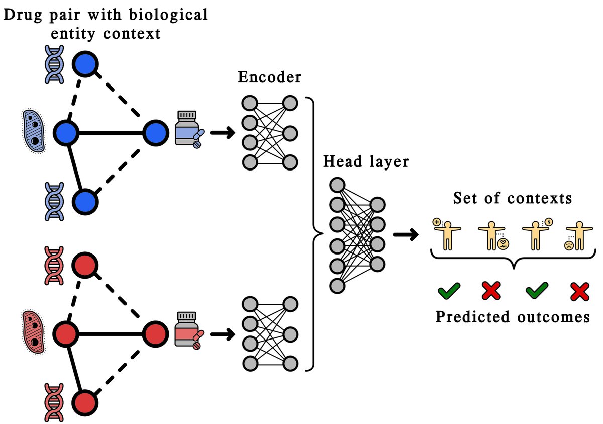 Benedek Rozemberczki (@benrozemberczki) on Twitter photo Our paper "A Unified View of Relational Deep Learning for Drug Pair Scoring" with <a href="/SBonner0/">Stephen Bonner</a>, Andriy Nikolov, <a href="/michaelughetto/">Michael Ughetto</a>, <a href="/sebastiandro/">Sebastian Nilsson</a> and <a href="/elipapa/">eliseo papa</a> has been accepted in the Survey Track of <a href="/IJCAIconf/">IJCAIconf</a> !
Git: bit.ly/3O9diHX
Paper: bit.ly/3jEim99 Our paper "A Unified View of Relational Deep Learning for Drug Pair Scoring" with <a href="/SBonner0/">Stephen Bonner</a>, Andriy Nikolov, <a href="/michaelughetto/">Michael Ughetto</a>, <a href="/sebastiandro/">Sebastian Nilsson</a> and <a href="/elipapa/">eliseo papa</a> has been accepted in the Survey Track of <a href="/IJCAIconf/">IJCAIconf</a> !
Git: bit.ly/3O9diHX
Paper: bit.ly/3jEim99