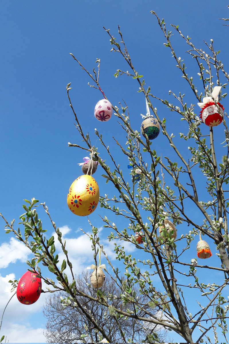 ActualAlemania's tweet photo. 🌾 Uno de los símbolos de la #Pascua en #Alemania es el #Osterbaum. Una vez pintados los huevos de colores, los alemanes los cuelgan en las ramas de los árboles y plantas de su jardín y además adornan sus casas con flores típicas de la primavera. 🥚 🐇 https://t.co/FTJlhehXrQ