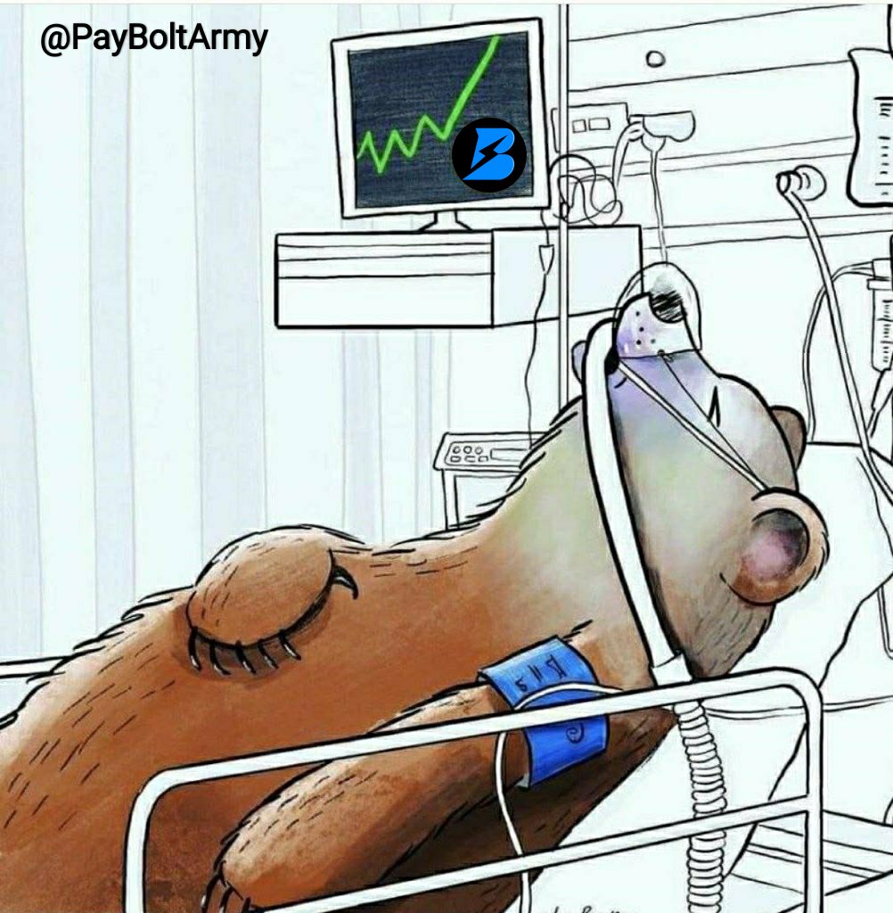 PayBoltArmy's tweet photo. @PayBoltOfficial 🧐 https://t.co/2CulTSThxB