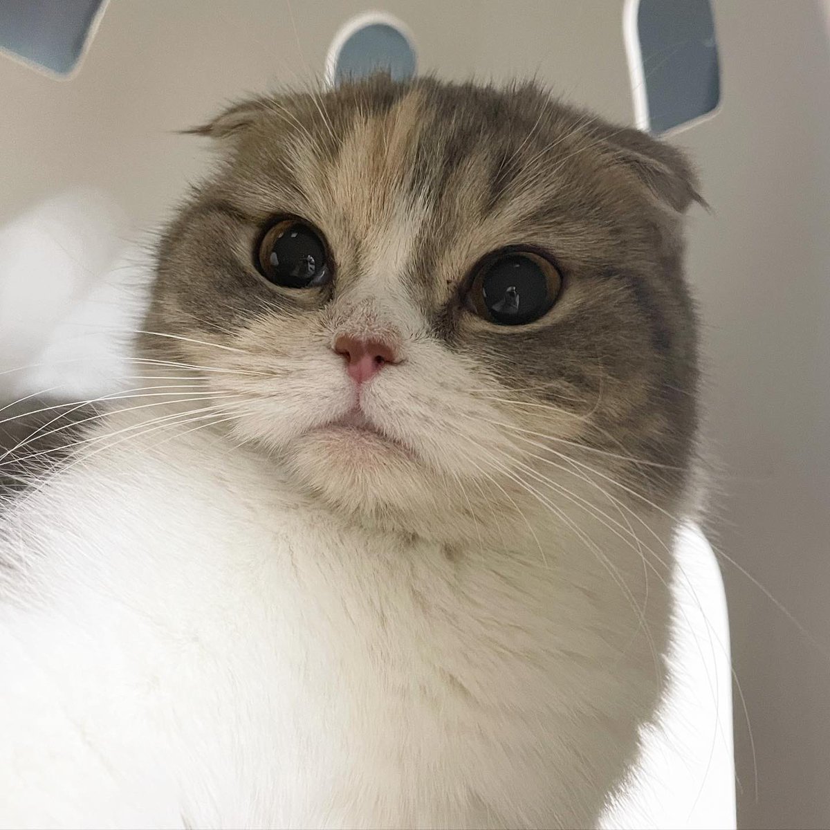 amluga (@amluga_) on Twitter photo 