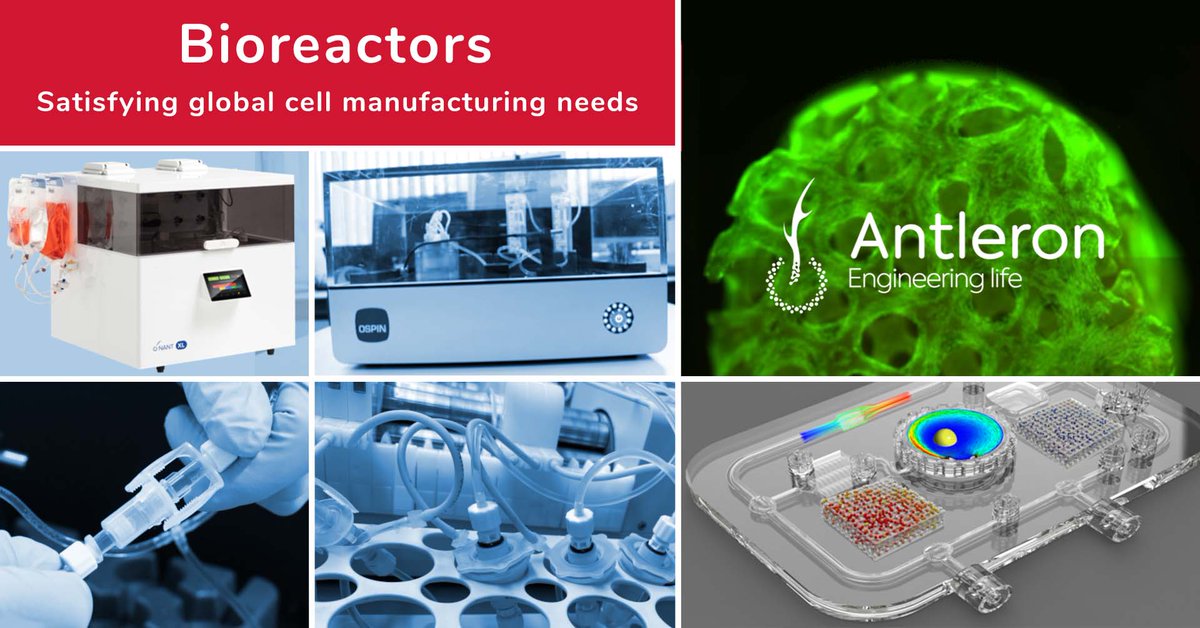 Customized 3D bioreactors are essential in helping produce huge numbers of cells. Using 3D printing as part of <a href="/antleron/">Antleron</a> toolbox, we enable bioprocess solutions by developing customized fixed beds that result in scalable &amp; sustainable cell processing 👉 bit.ly/3uJUkQs
