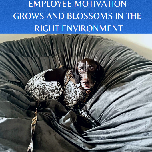 Regional School Success tweet media