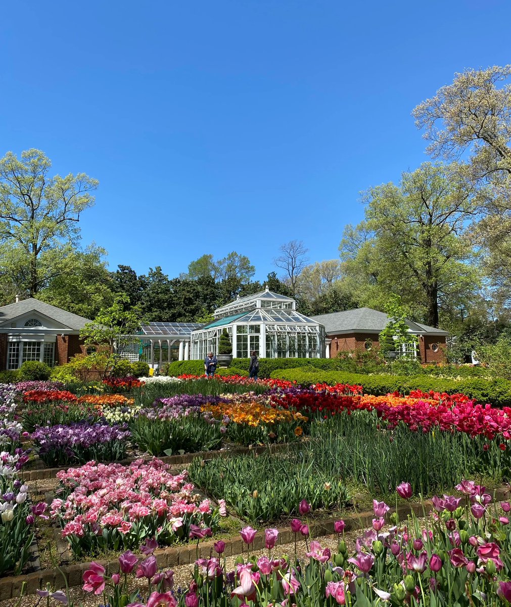 Visit the Dixon this weekend for normal visiting hours! 🌷