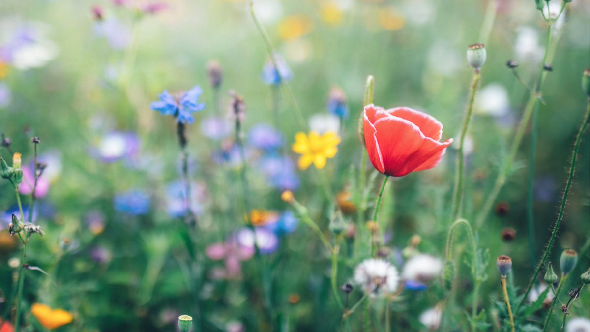 Wishing you grace, peace and love this weekend, whatever you celebrate.