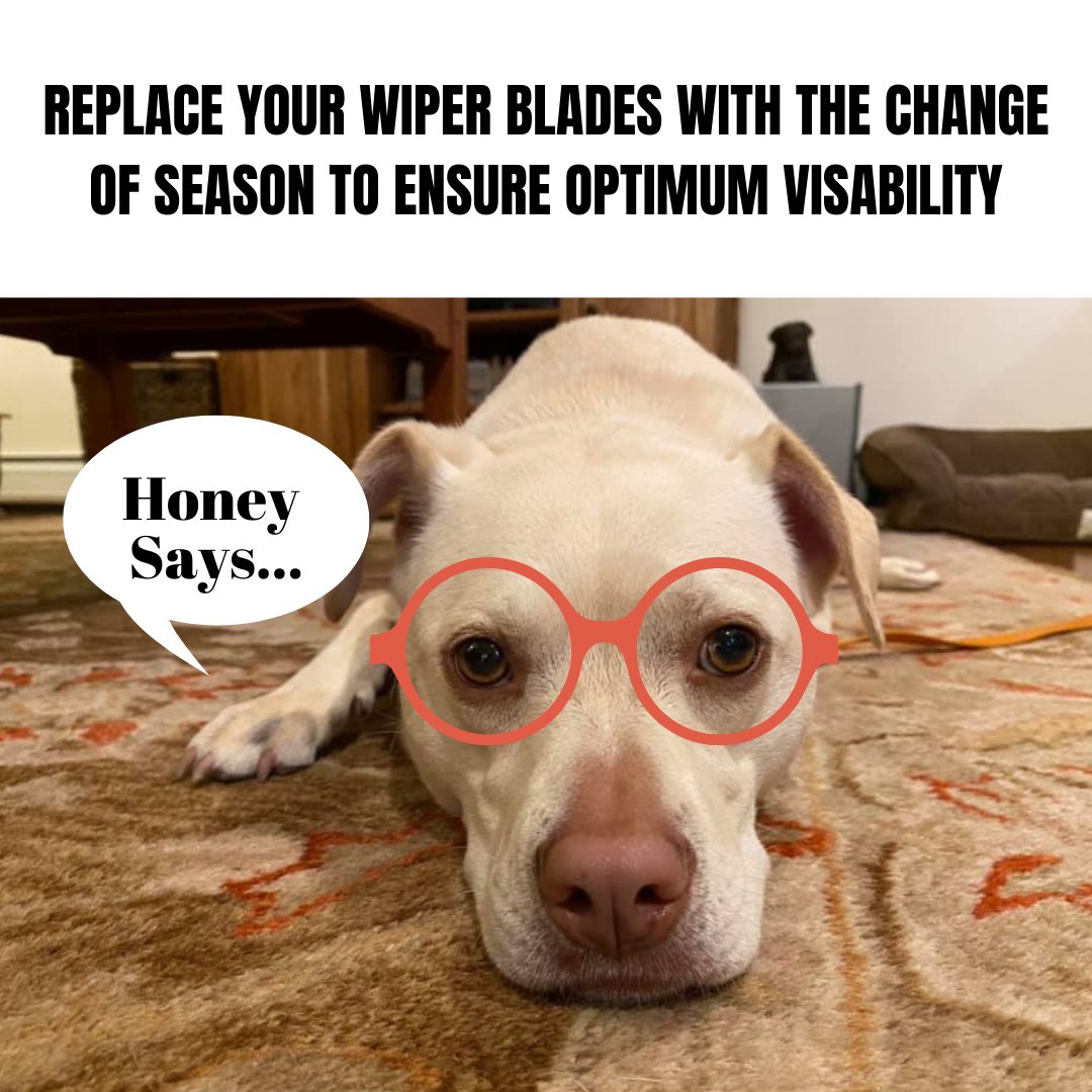 It's Car care month. Honey says to replace your wiper blades with the change of season to ensure optimum visibility. 
#honeysays
#wipers
#wiperblades
#clearvision
#safetyfirst
#aprilnationalcarcaremonth
#deboersauto
#deboersautohamburgnj https://t.co/4MwpLpHjiG