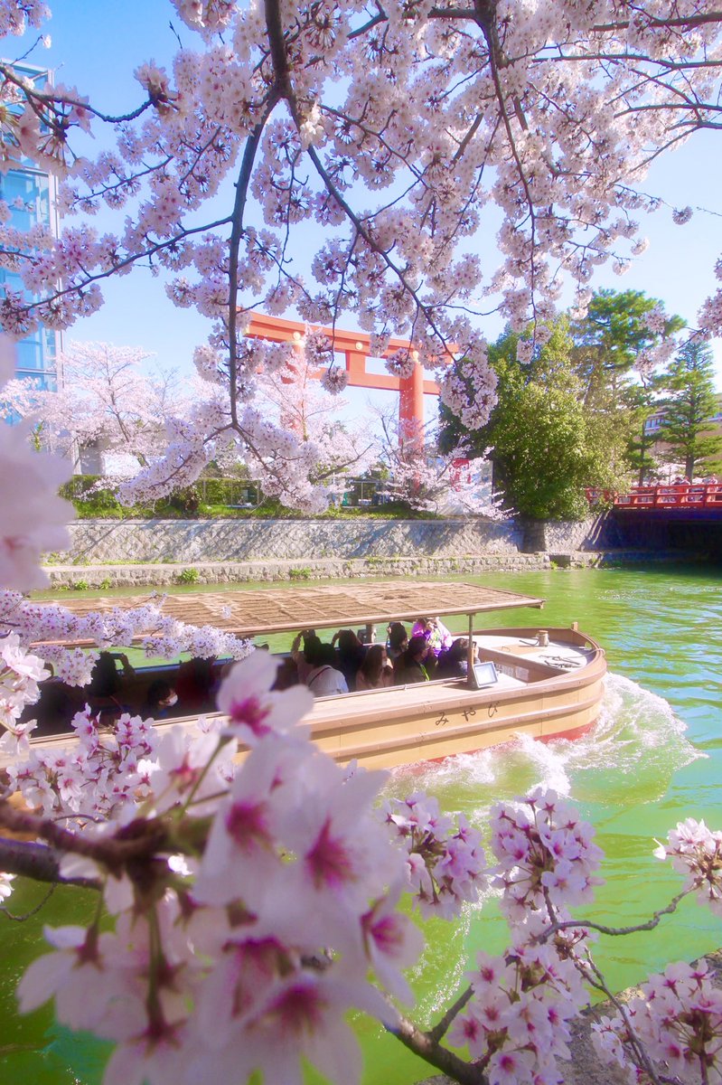 chitaka45's tweet photo. 岡崎疏水　桜と十石舟
#kyoto #京都　#岡崎疏水　#十石舟　#cherryblossom #そうだ京都行こう https://t.co/JYRsveBLdV
