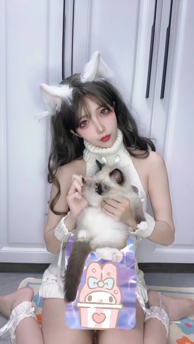 Xingziqq's tweet photo. 可爱猫猫 https://t.co/UyoB3zzCF3