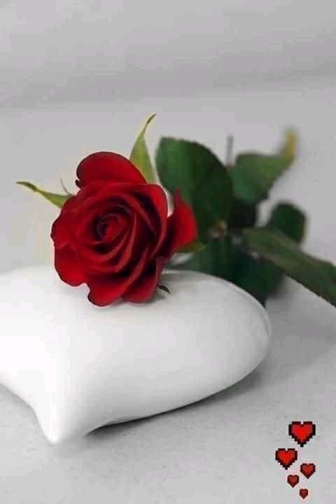 Yayan20301061's tweet photo. @gold75062730 https://t.co/wp13PRh5EN